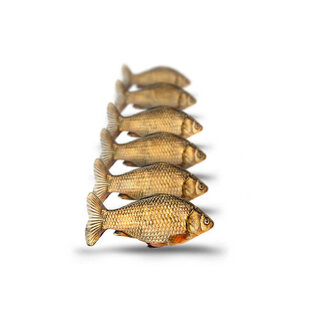 pre-baits doodaas giebel klein