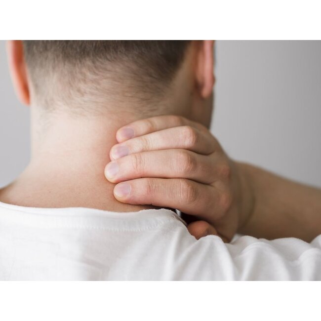 gimson carp pillow  "universal soft & steady"