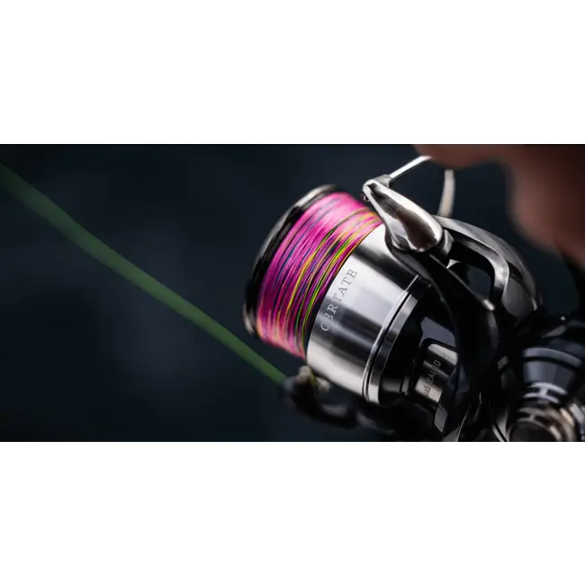 daiwa certate lt 2500d