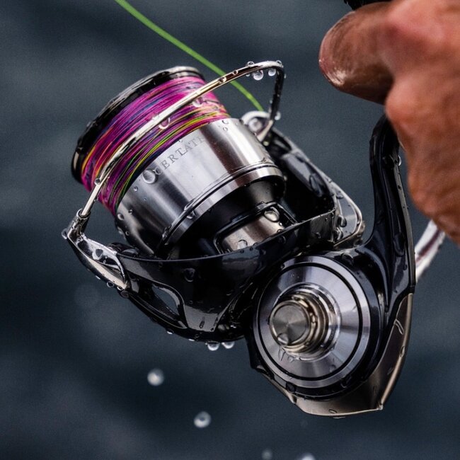 daiwa certate lt 2500d