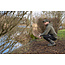 Nash make it happen badge joggers black **laatste kans**