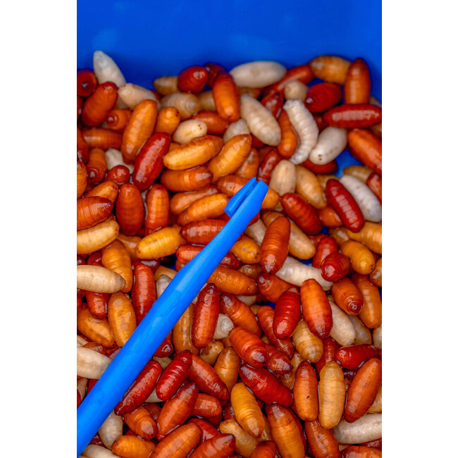 preston bander/disgorger twinpack