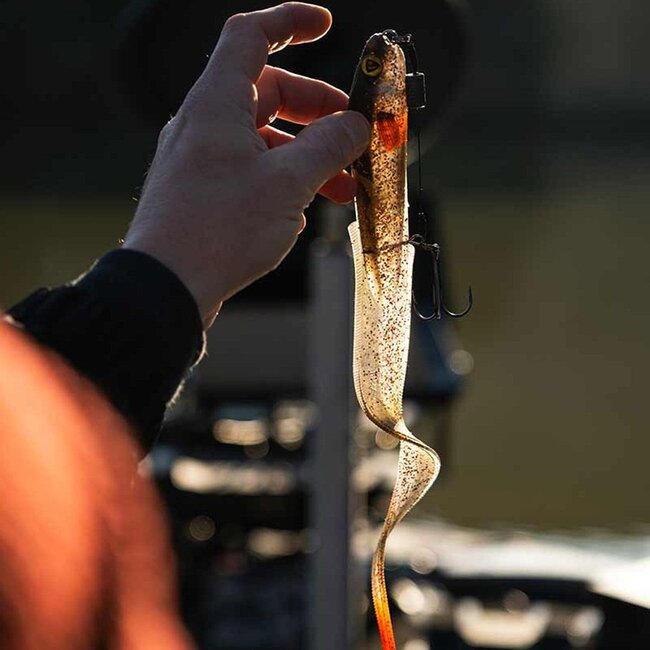 fox rage uv slick eel