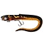 fox rage uv slick eel