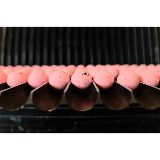 forgotten flavours squid pop-ups 15mm