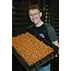 biemans baits hydrosect boilie