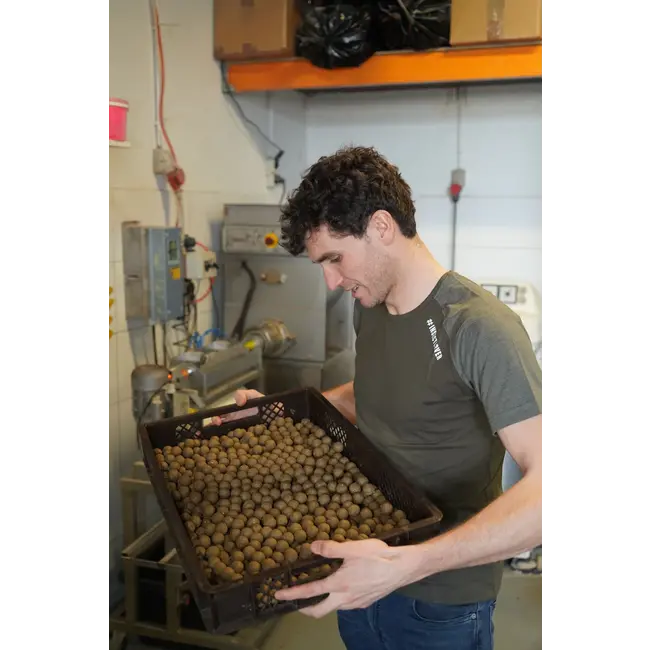 biemans baits black soldier boilie 5kg