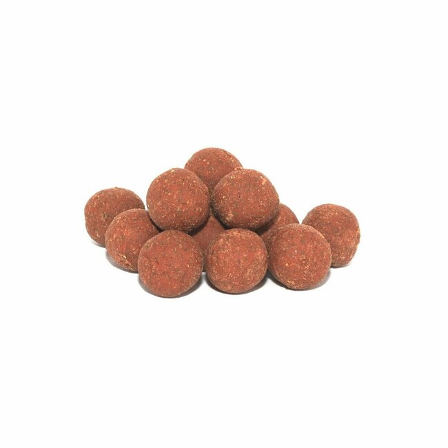 biemans baits spicy insect boilie 5kg