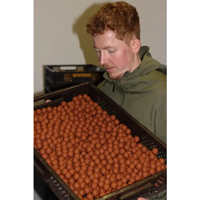 biemans baits spicy insect boilie 5kg