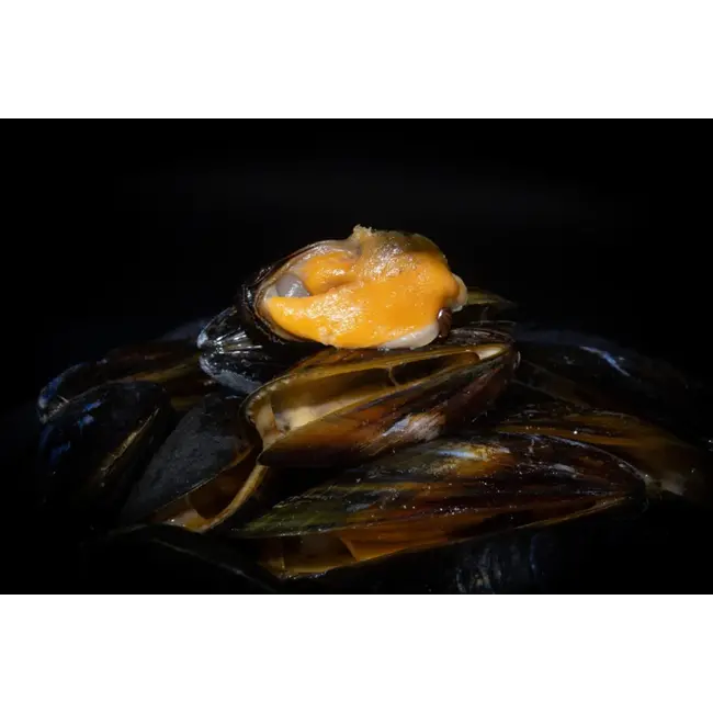 sub grubs mossel hookbaits