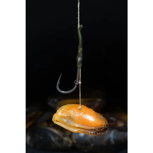 sub grubs mossel hookbaits