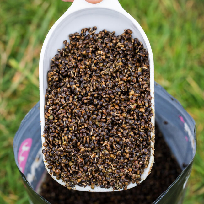 mainline power+ particles hemp mix