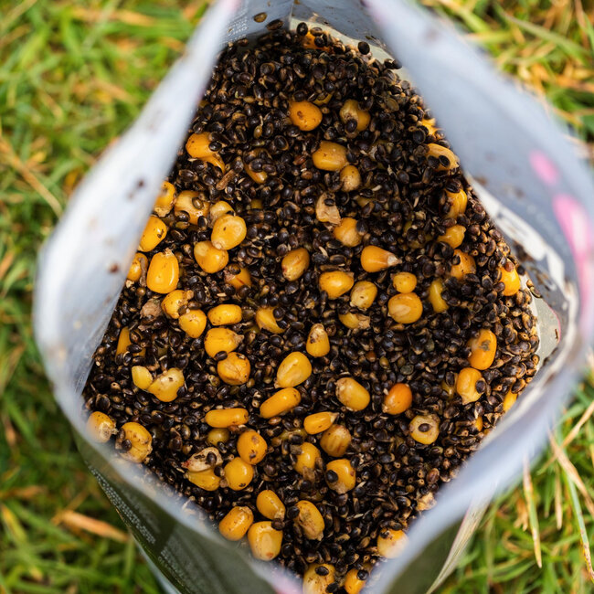 mainline power+ particles hemp 'n' maize