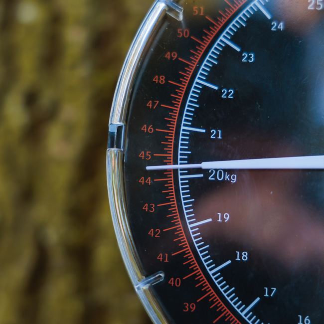 fox dial scales 60lb - 27kg