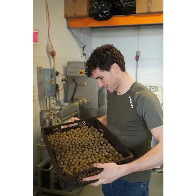 biemans baits black soldier boilie 1kg