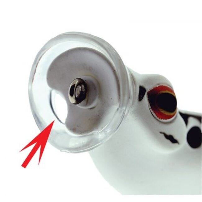 river2sea spitting' wa 70