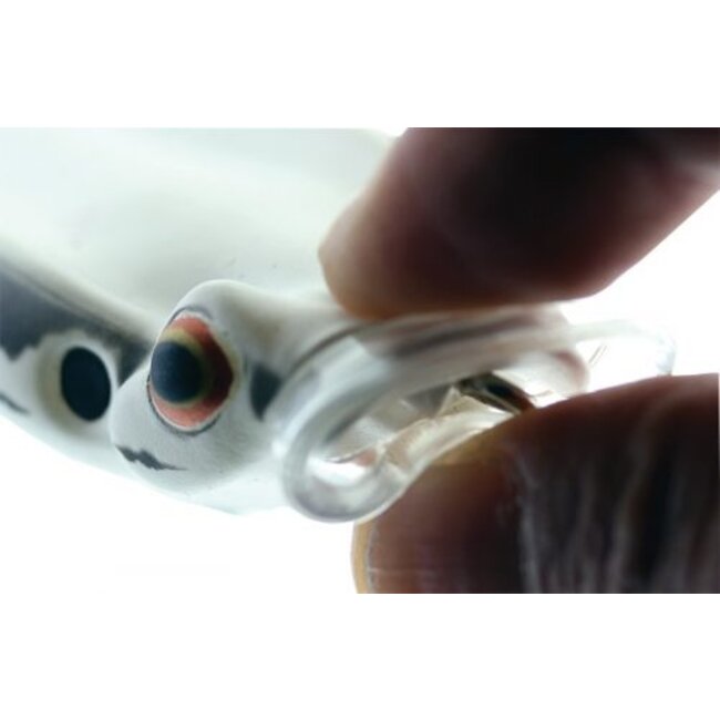 river2sea spitting' wa 70