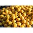 mtc baits big banana boilies 5kg