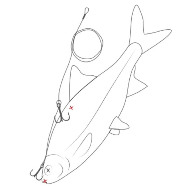 westin multi purpose rig semi barbed