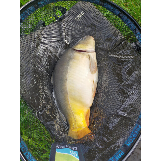 sonubaits supercrush groundbait mega carp method mix green