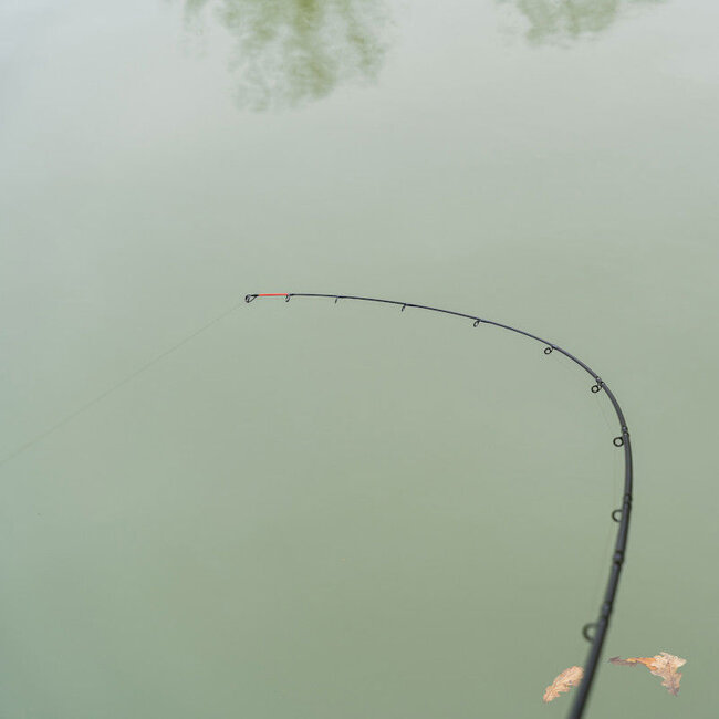 korum limitless feeder