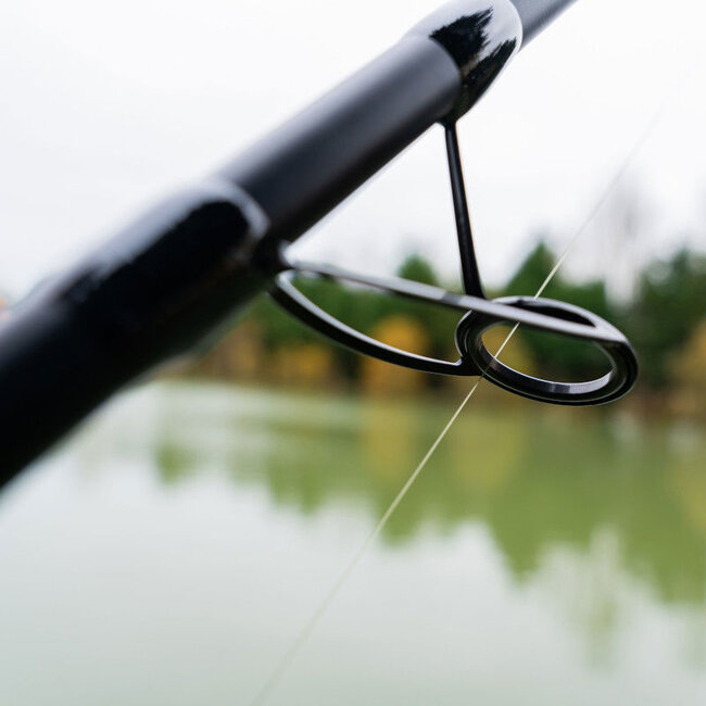 korum limitless feeder