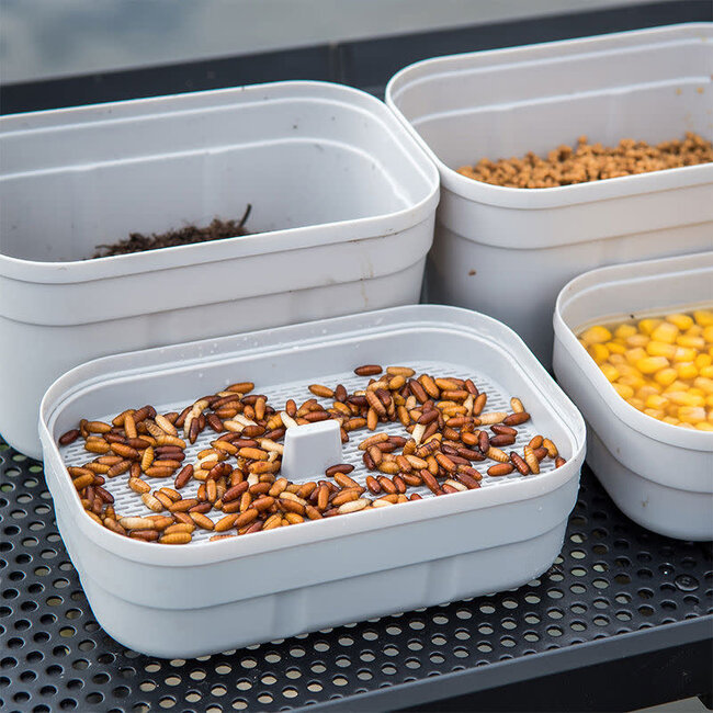 matrix bait tub drainage tray