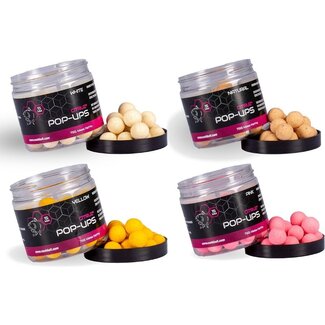 nash citruz pop ups **laatste kans**