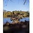 Carp Porter roamer green