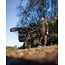 Carp Porter roamer green