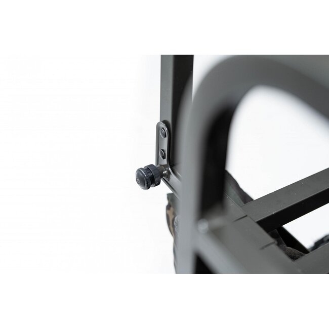 carp porter trident power porter green