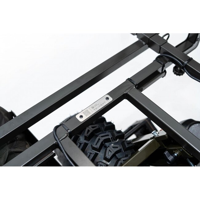 carp porter trident power porter green