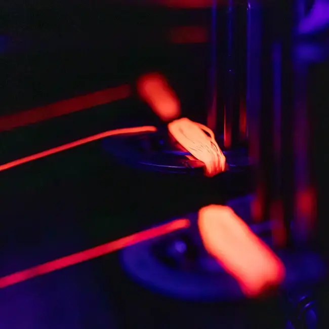 trakker clinga captive backweight