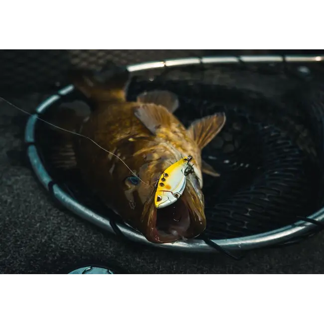 spro carbon blade tg