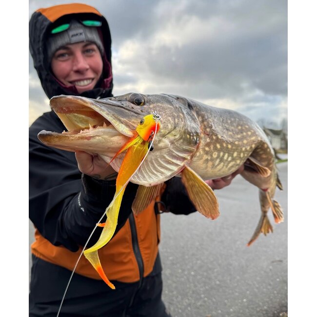 blackbay blacktail shad junior