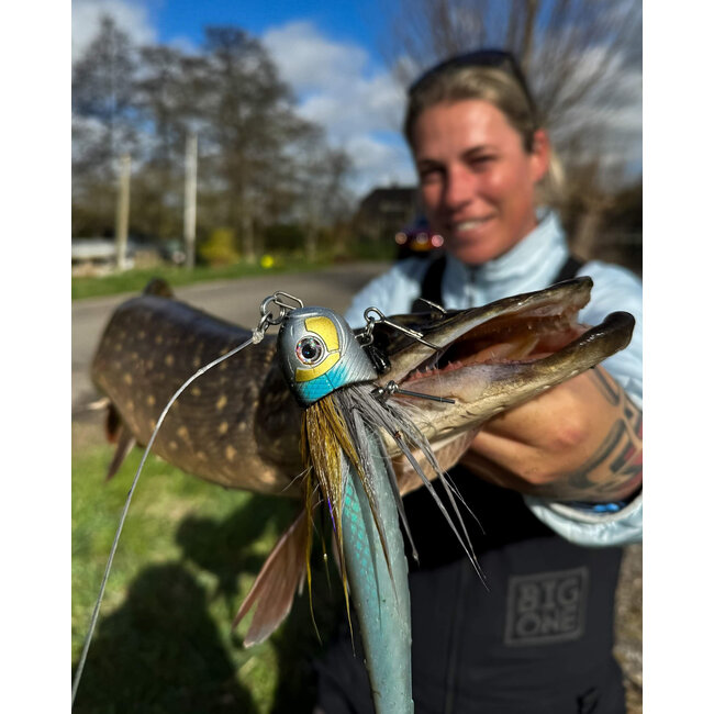 blackbay blackbug beetle