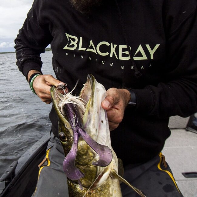 blackbay blacktail double s