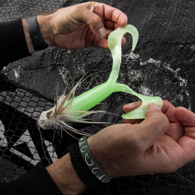 blackbay blacktail double s