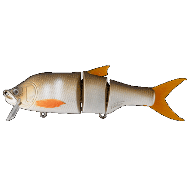 fishus fbl cerberus lite 130