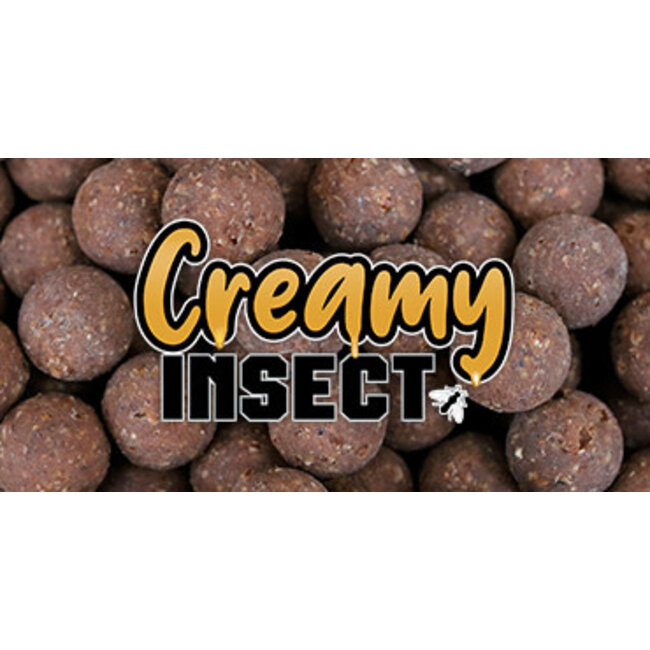 kgb baits creamy insect 5kg