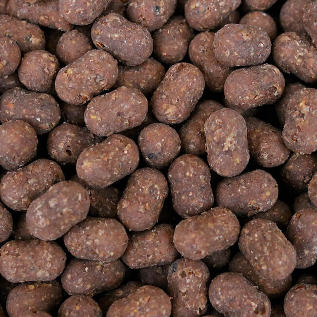 kgb baits creamy insect 5kg