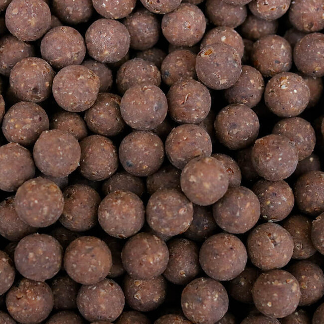 kgb baits creamy insect 5kg