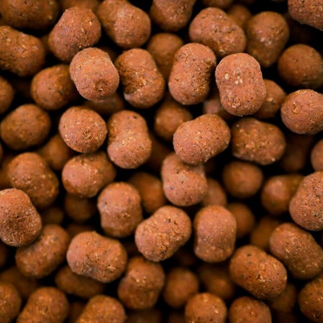 kgb baits crab 'n squid 5kg