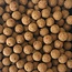 kgb baits fruit fusion 5kg