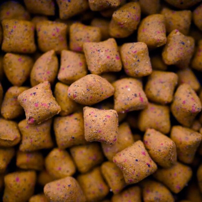 kgb baits fruit fusion 5kg