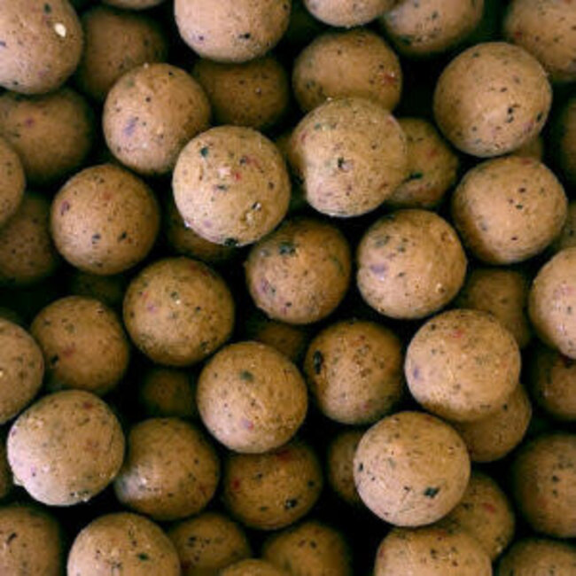 kgb baits spicy liver scopex 5kg