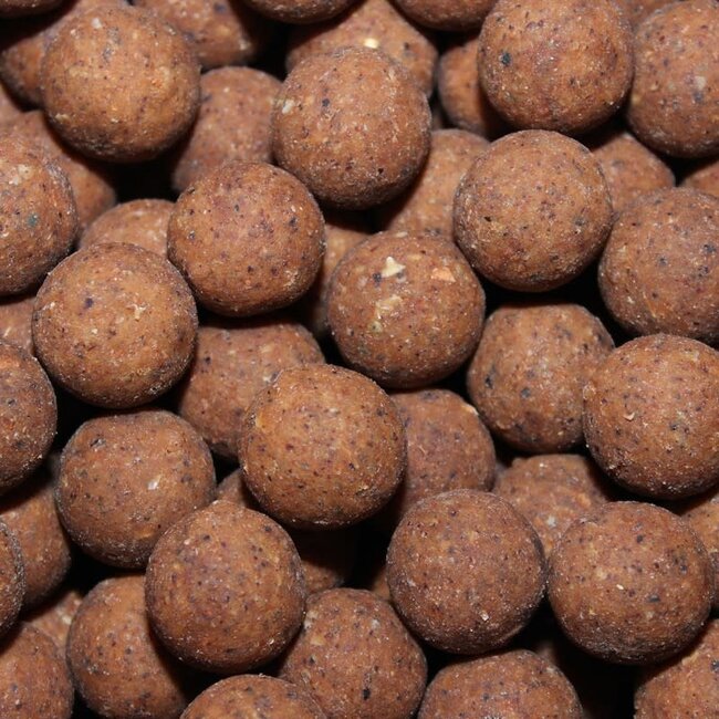 kgb baits hydro pro 5kg