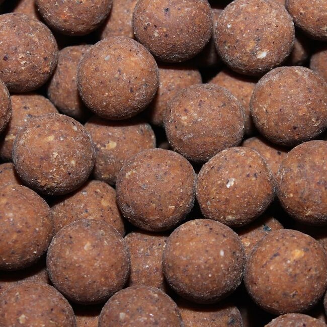 kgb baits hydro pro 5kg
