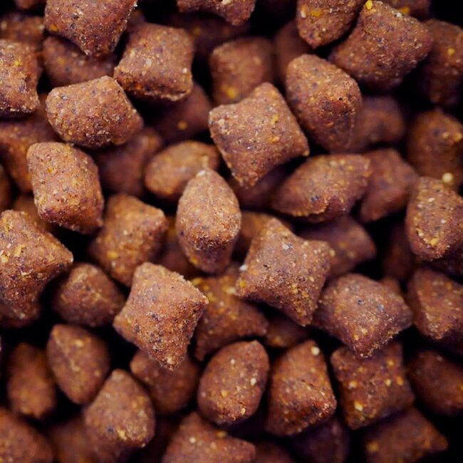 kgb baits hydro pro 5kg