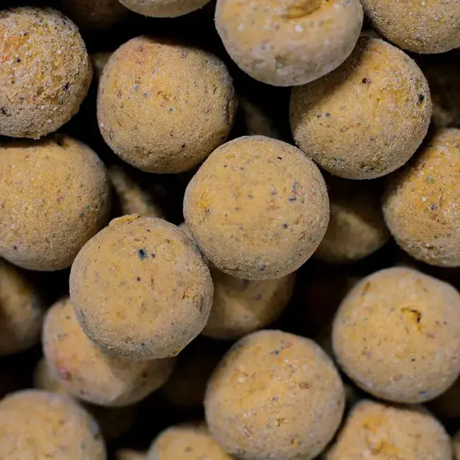 kgb baits spicy liver scopex lightweight hookbaits